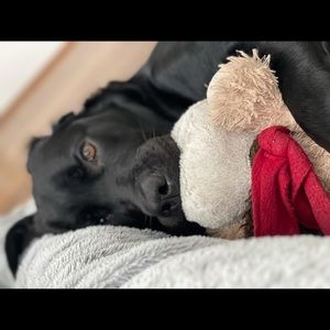 Meet your Posher, Babafems us